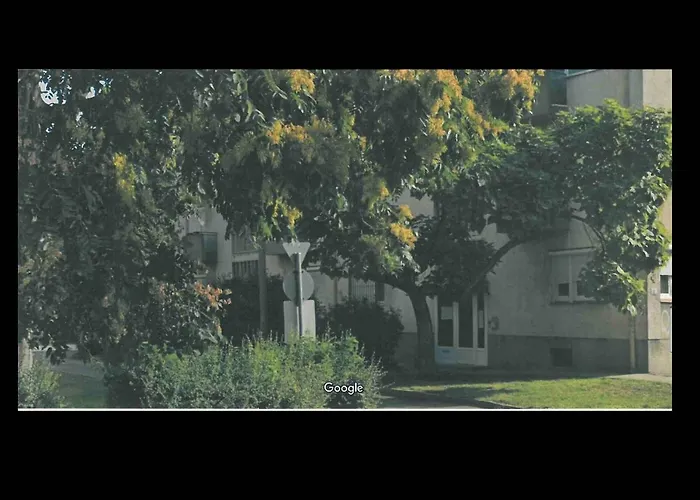 Peterpal 아파트 페치